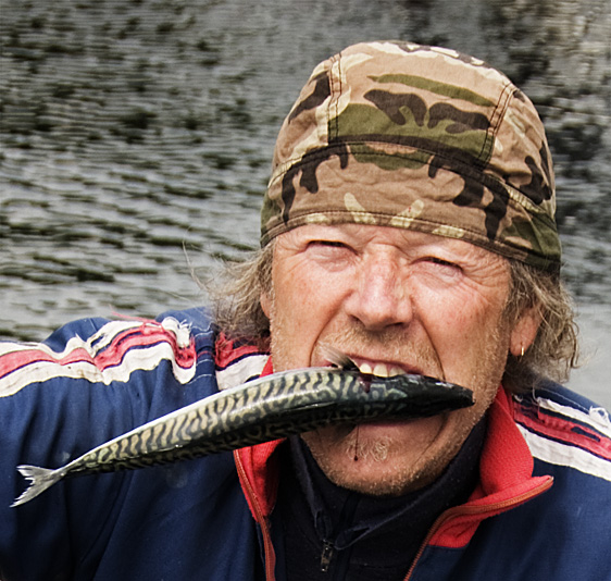 makrellkaker - teaser