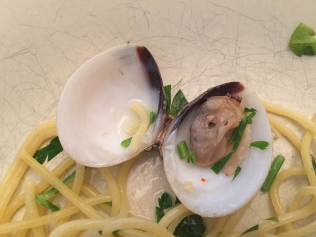 Små skjell - stor smak